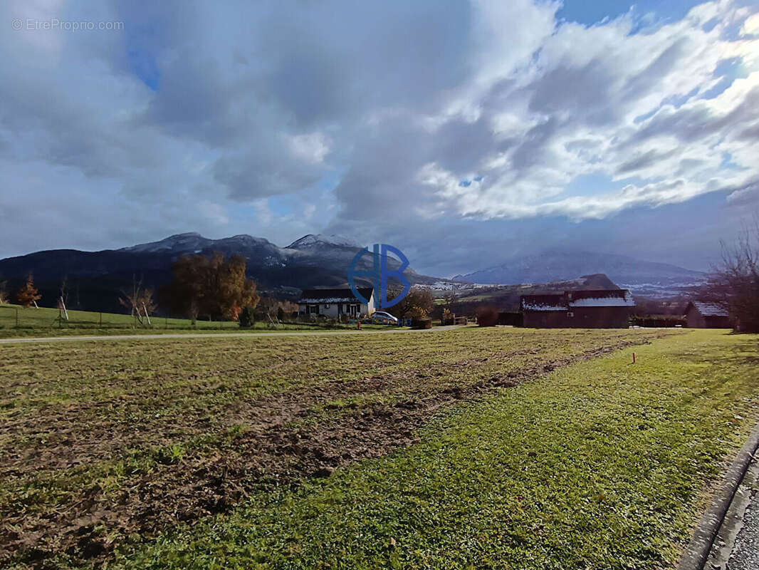 Terrain à MASSIGNIEU-DE-RIVES