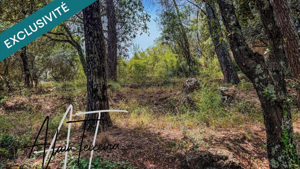 Photo 2 - Terrain à LORGUES