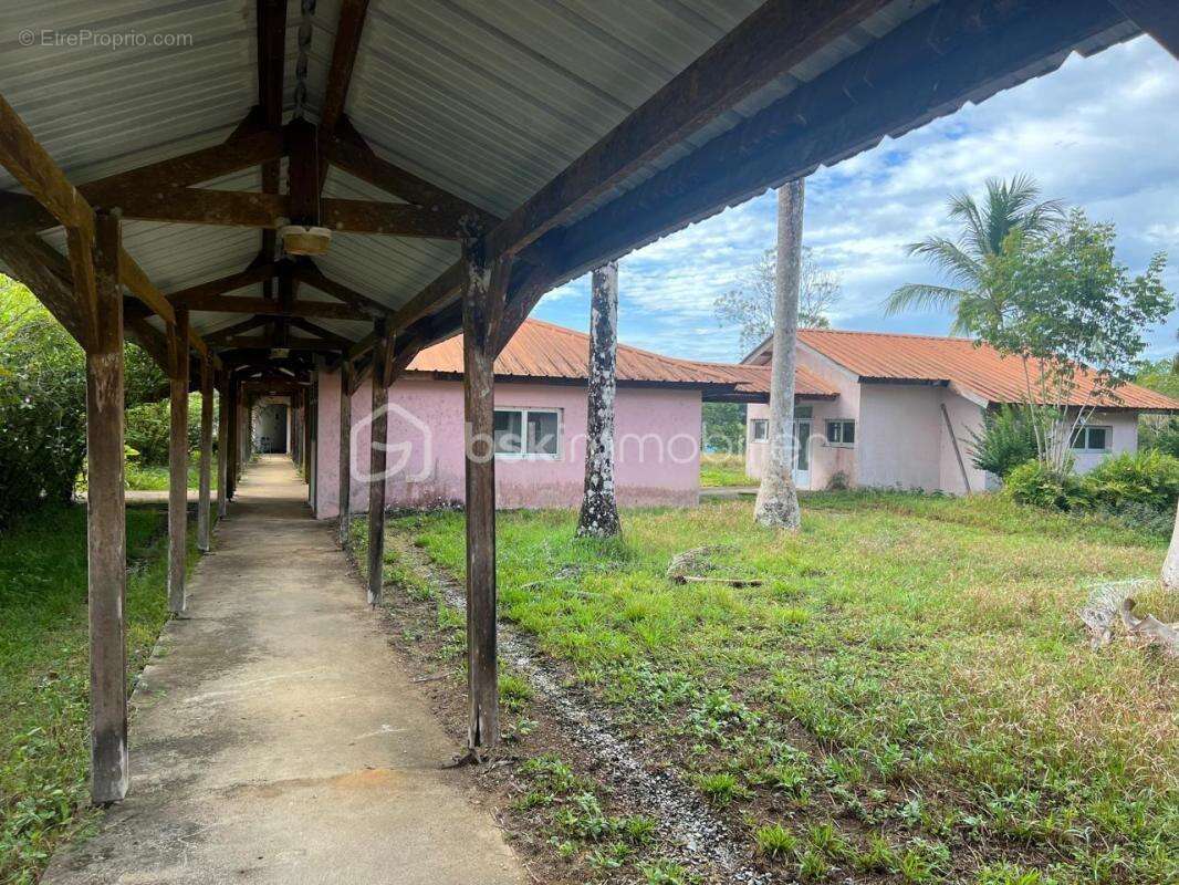Guyane – ancien centre de rééducation sur 2,58 ha – 1 429 m² bâtis – projets agricoles, médico-sociaux, éducatifs ou collectifs - photo 4