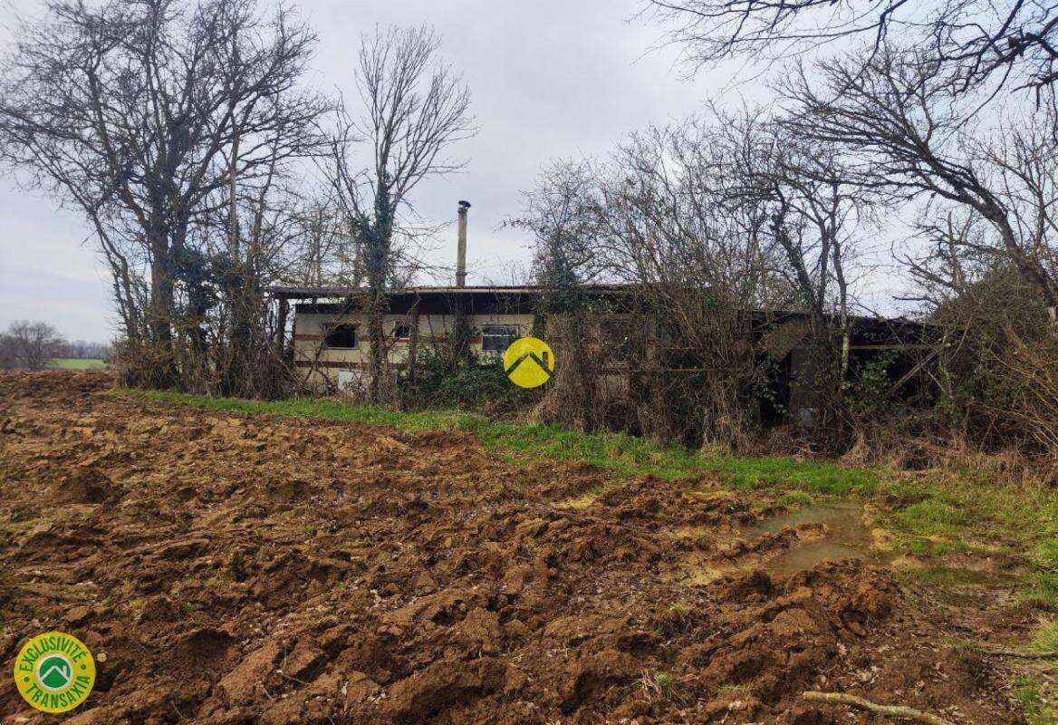 Terrain à MENETOU-COUTURE