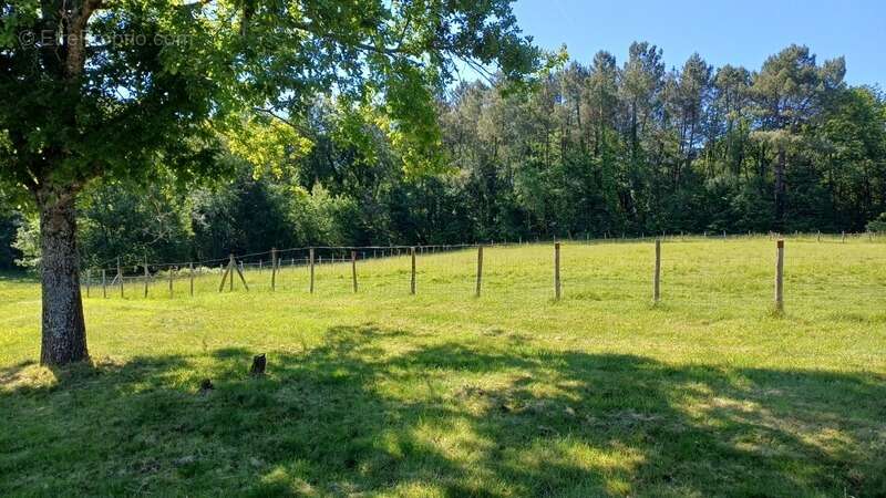 Propriete/Gites 6 hectares, Proche de THENON (24) - photo 12