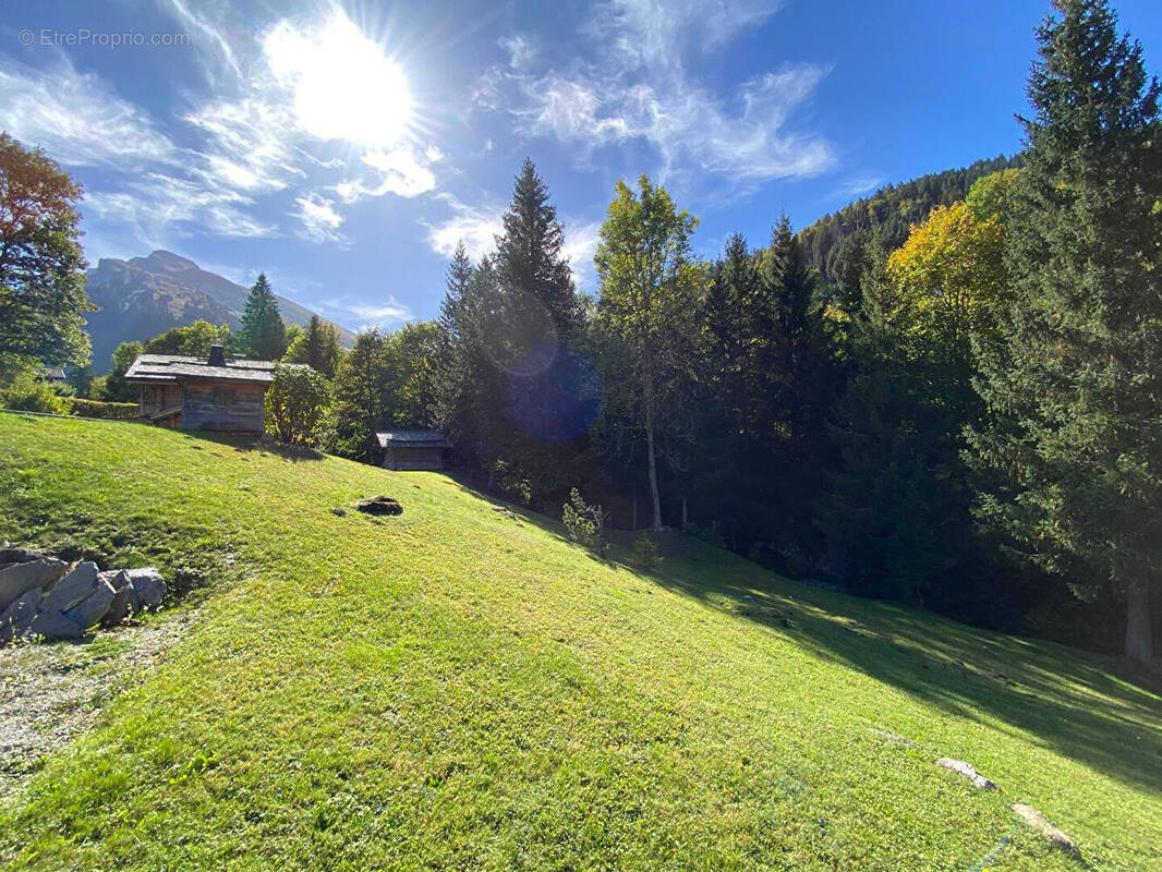 Terrain à LA CLUSAZ
