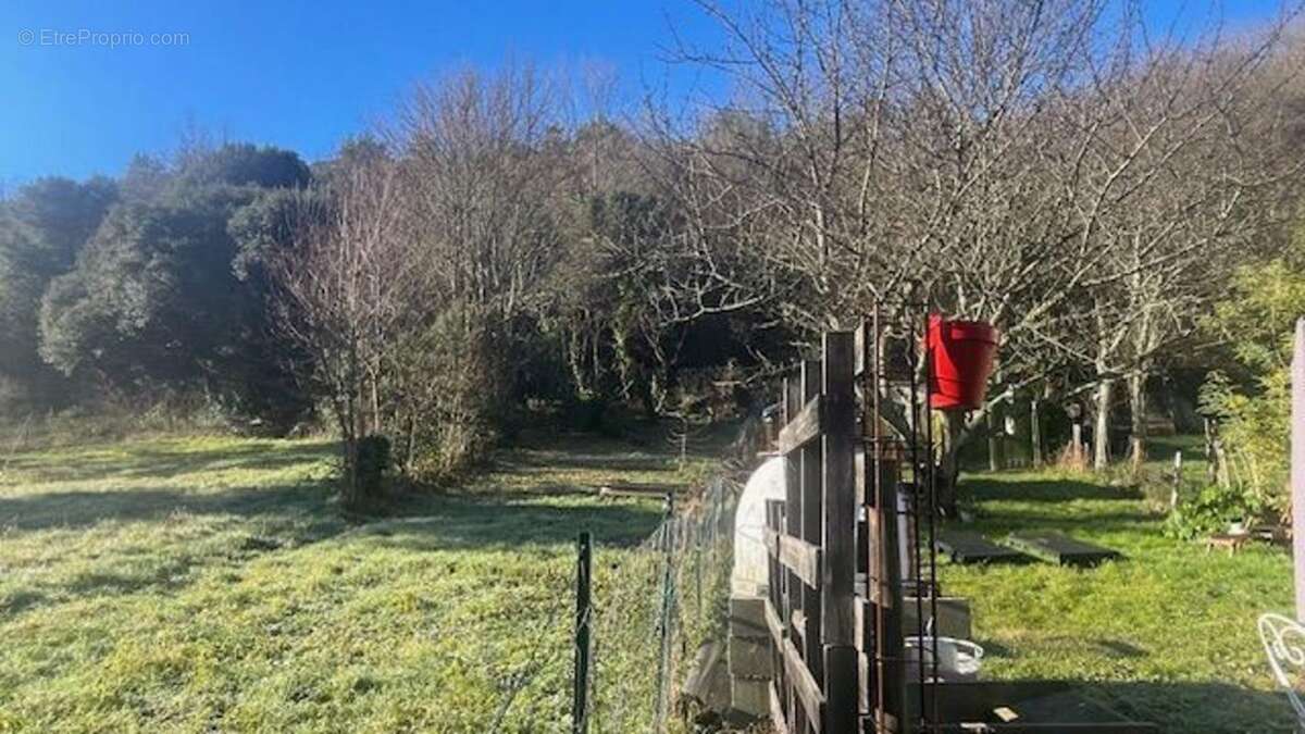 Terrain à PUILAURENS