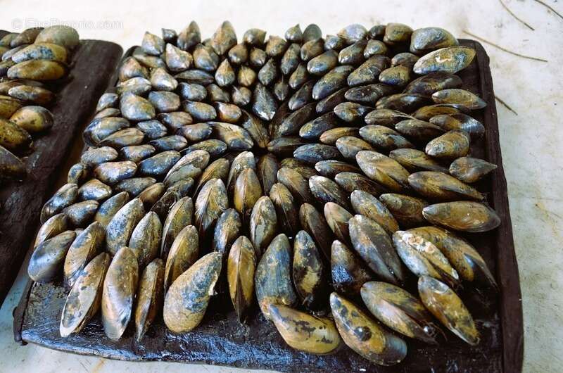 Commerce à DOLUS-D&#039;OLERON