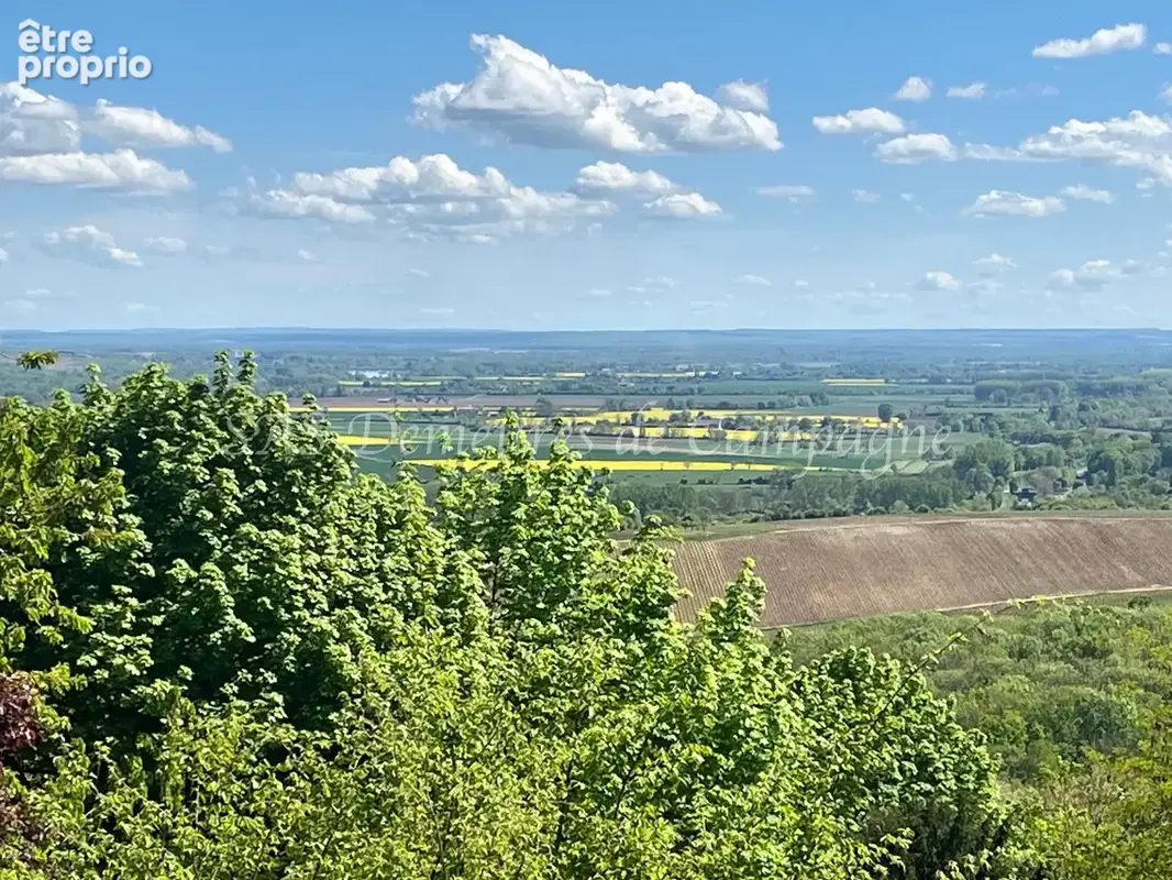 Sancerre piton   maison de charme avec jardin, terrasse et caves voûtées - photo 8