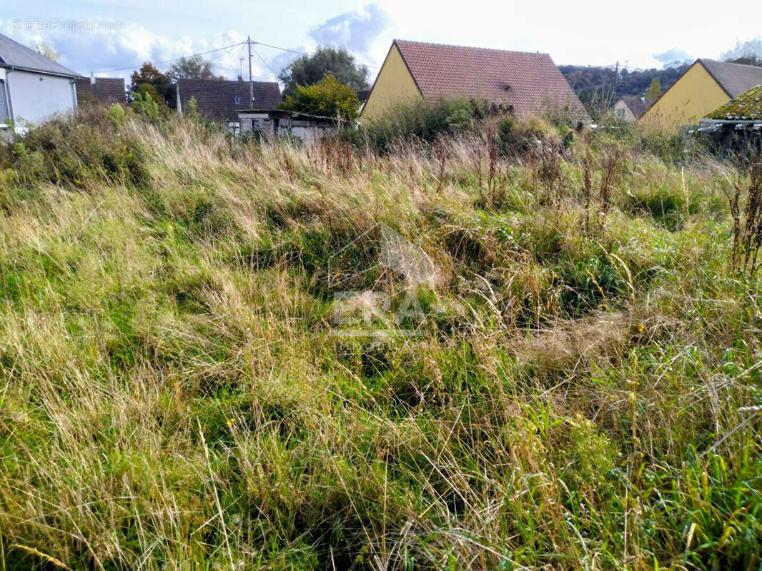 Terrain à BELLENGREVILLE