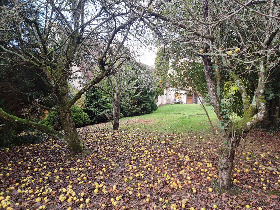 Maison à LA CHAPELLE-SOUEF