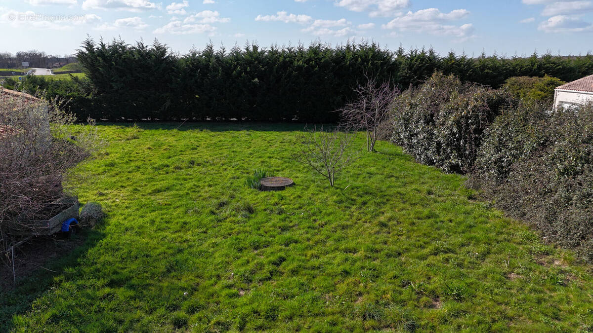 Terrain à SAINT-CHRISTOPHE-DU-LIGNERON