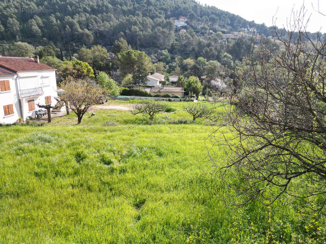Terrain à SOLLIES-TOUCAS