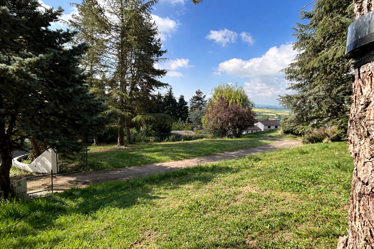 Terrain à LA COTE-SAINT-ANDRE