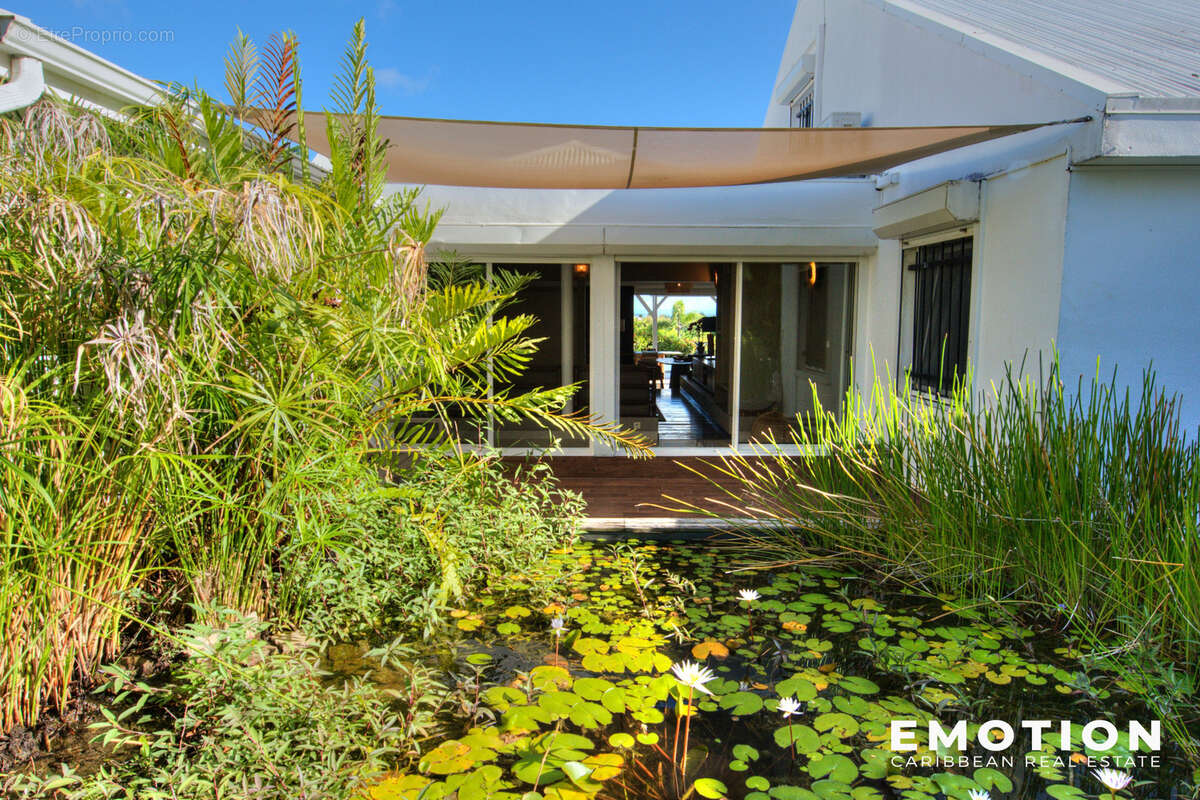 Maison à SAINT-FRANCOIS