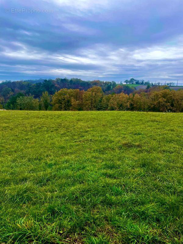 Terrain à TRELISSAC