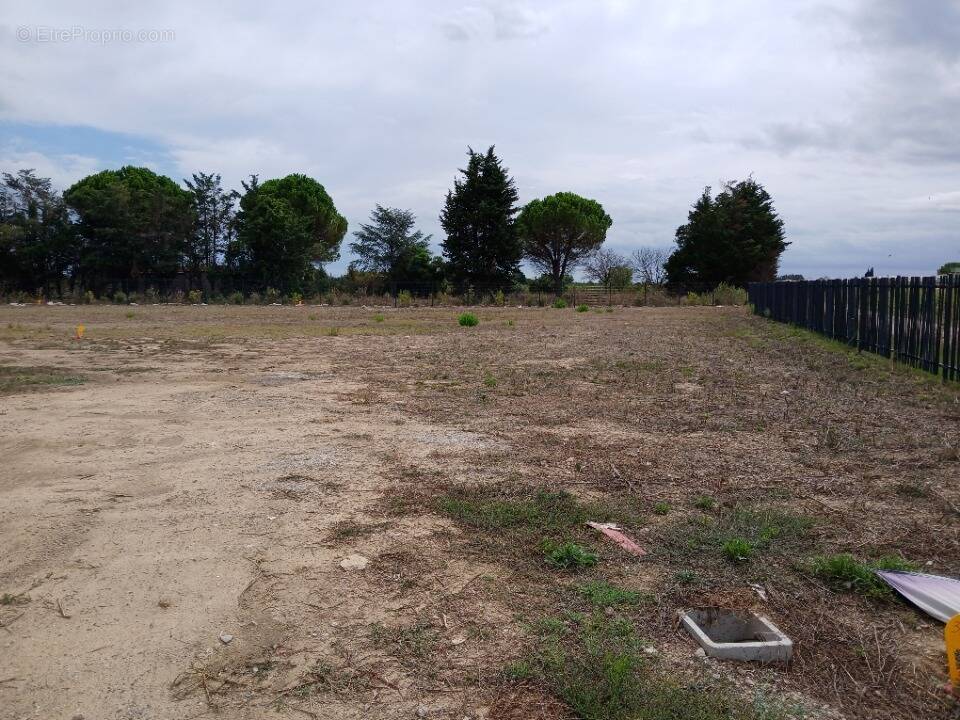 Terrain à MARSILLARGUES