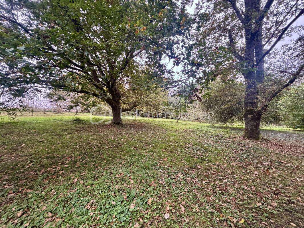Maison à AIX-EN-OTHE
