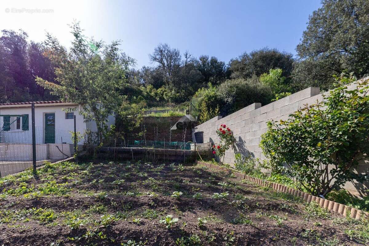 Photo 2 - Appartement à LE BOUSQUET-D'ORB