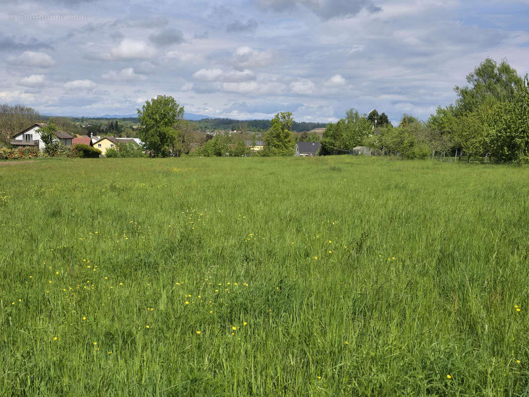 Terrain à MAGSTATT-LE-BAS