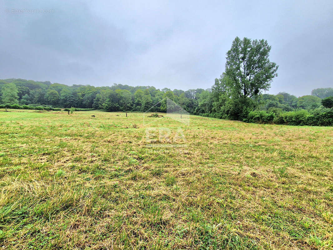 Terrain à CLENLEU