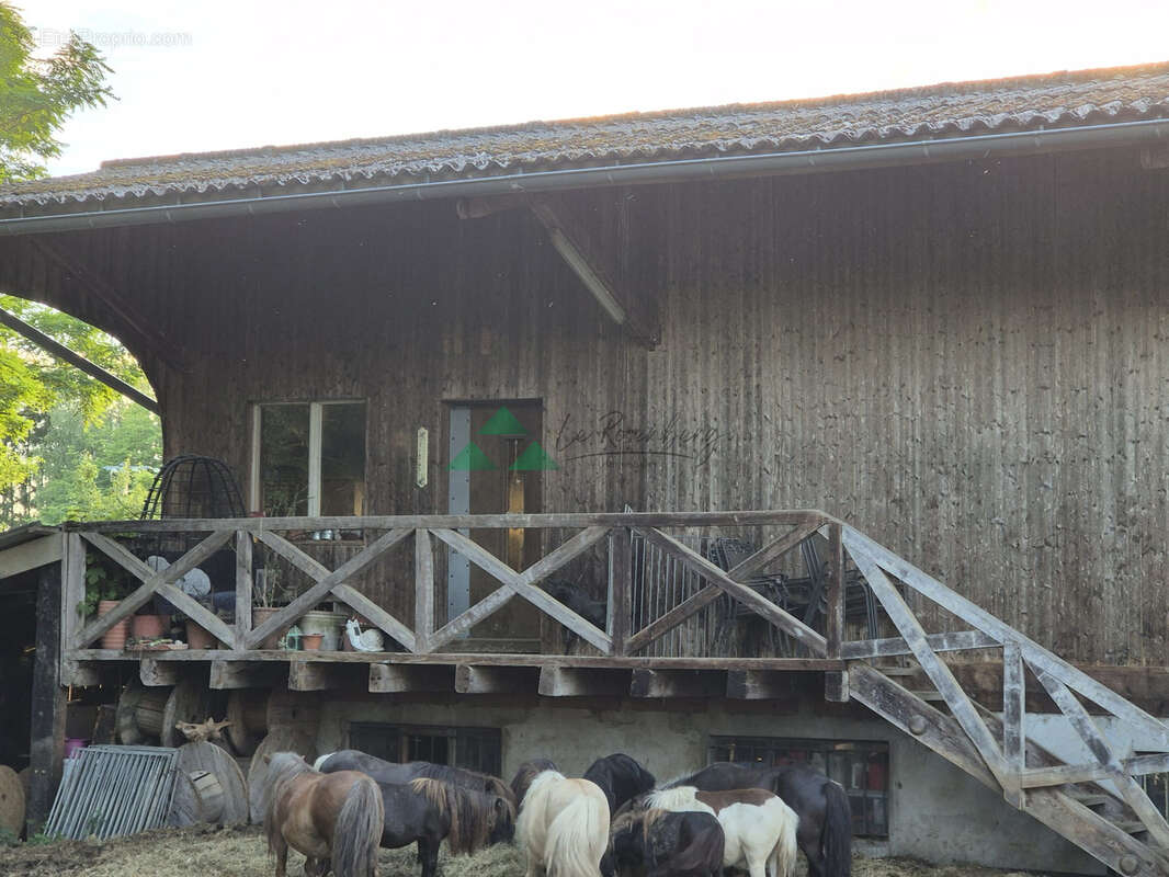 Terrain à VIEUX-FERRETTE