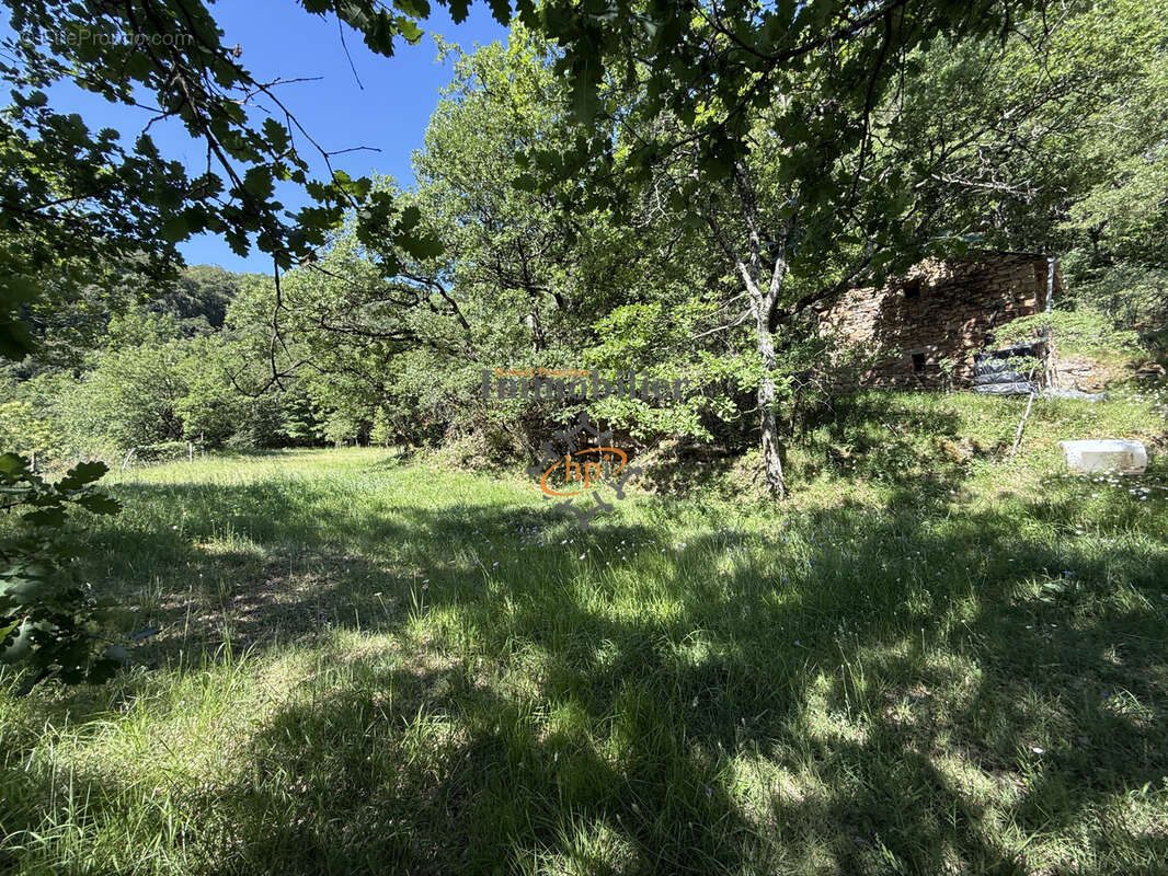 Vente Mazet Versols et Lapeyre, 1,25 hectares de terrains - photo 11