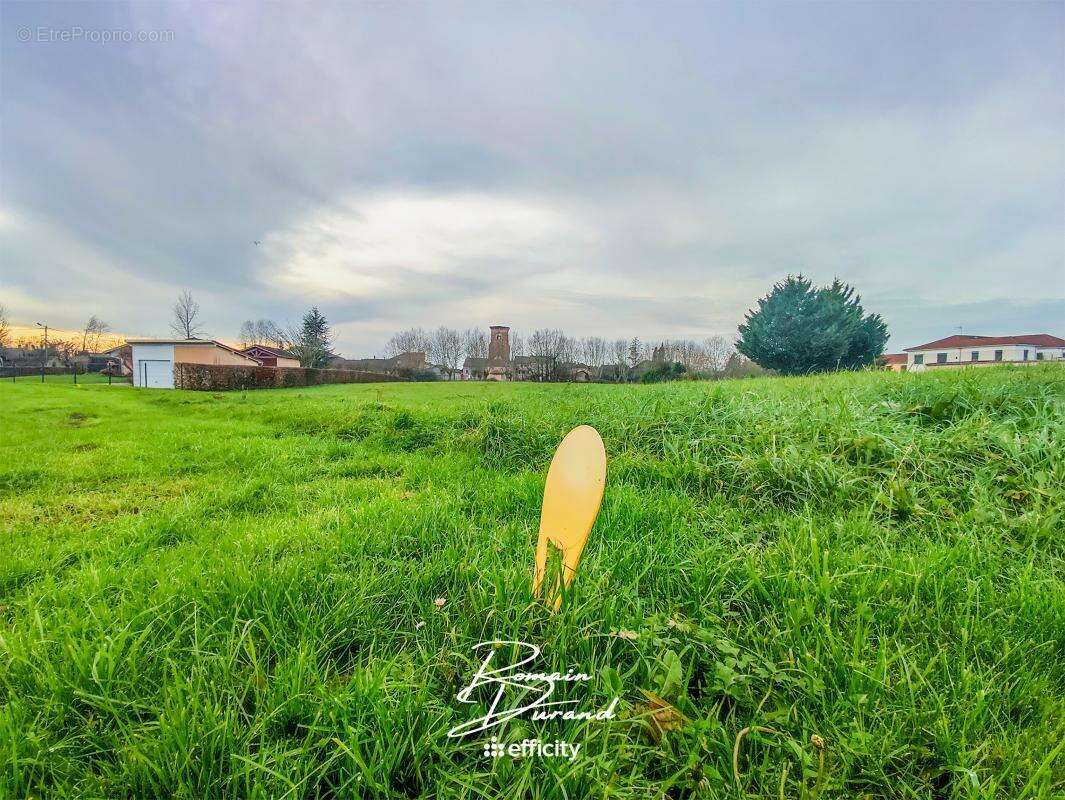 Terrain à SAINT-TRIVIER-DE-COURTES