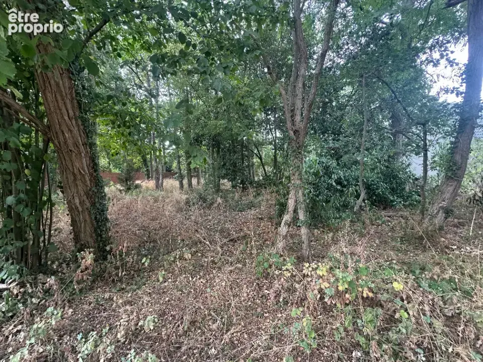 Terrain 1 014 m² à vendre à Congis-Sur-Therouanne (77440) - photo 2