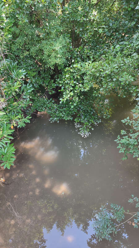 Maison à CAZIDEROQUE