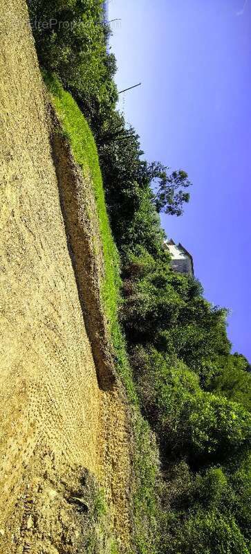 Terrain 440 m² à Saint-Laurent-Du-Var  - photo 3