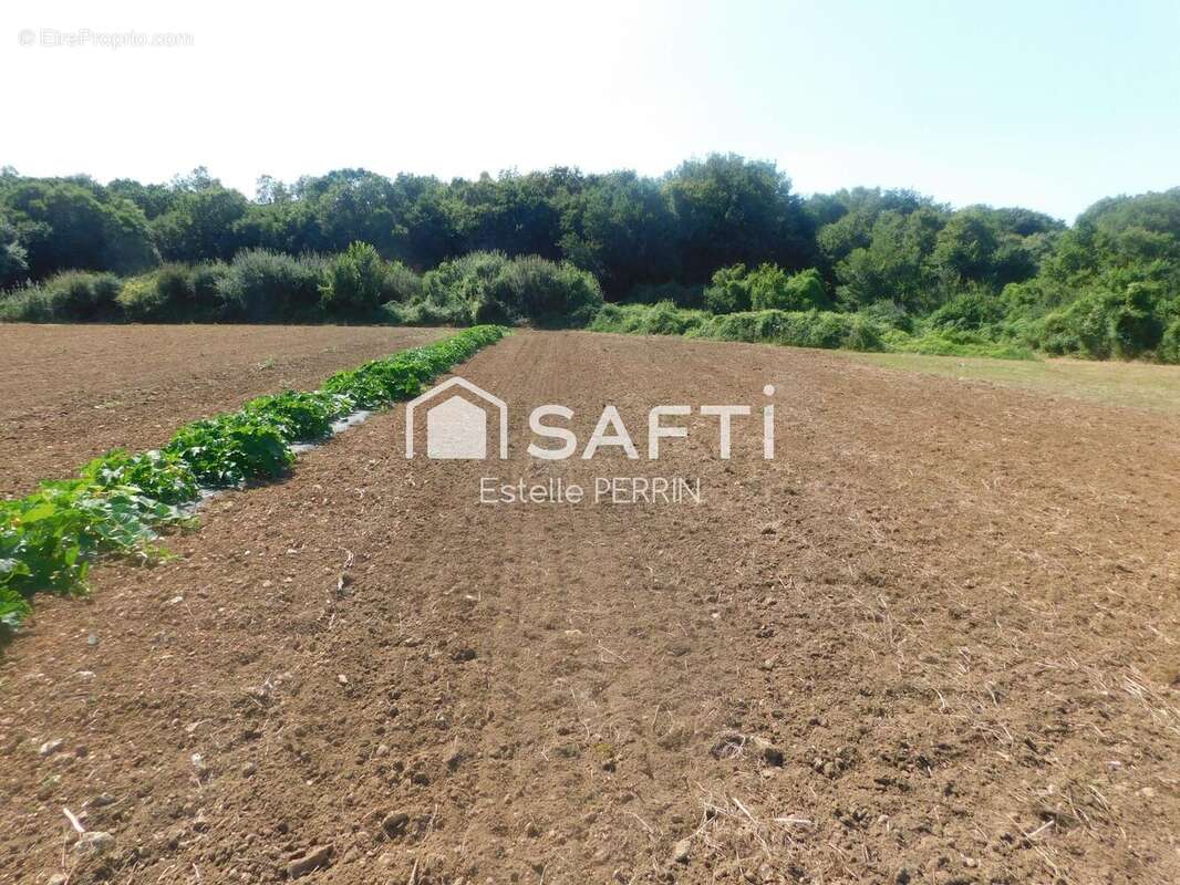 Photo 3 - Terrain à TRIZAY