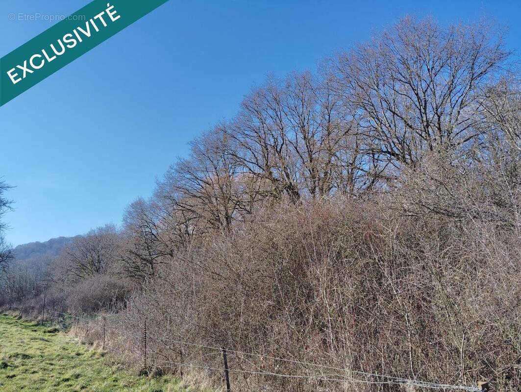 Photo 1 - Terrain à MANOM