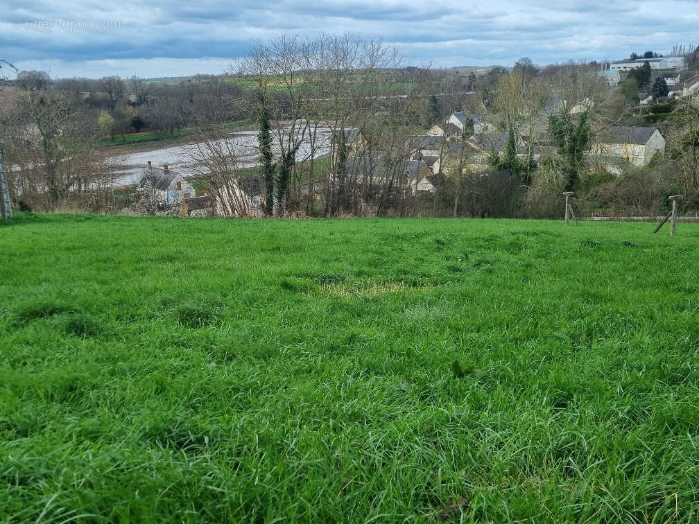 Terrain à SAINT-CALAIS