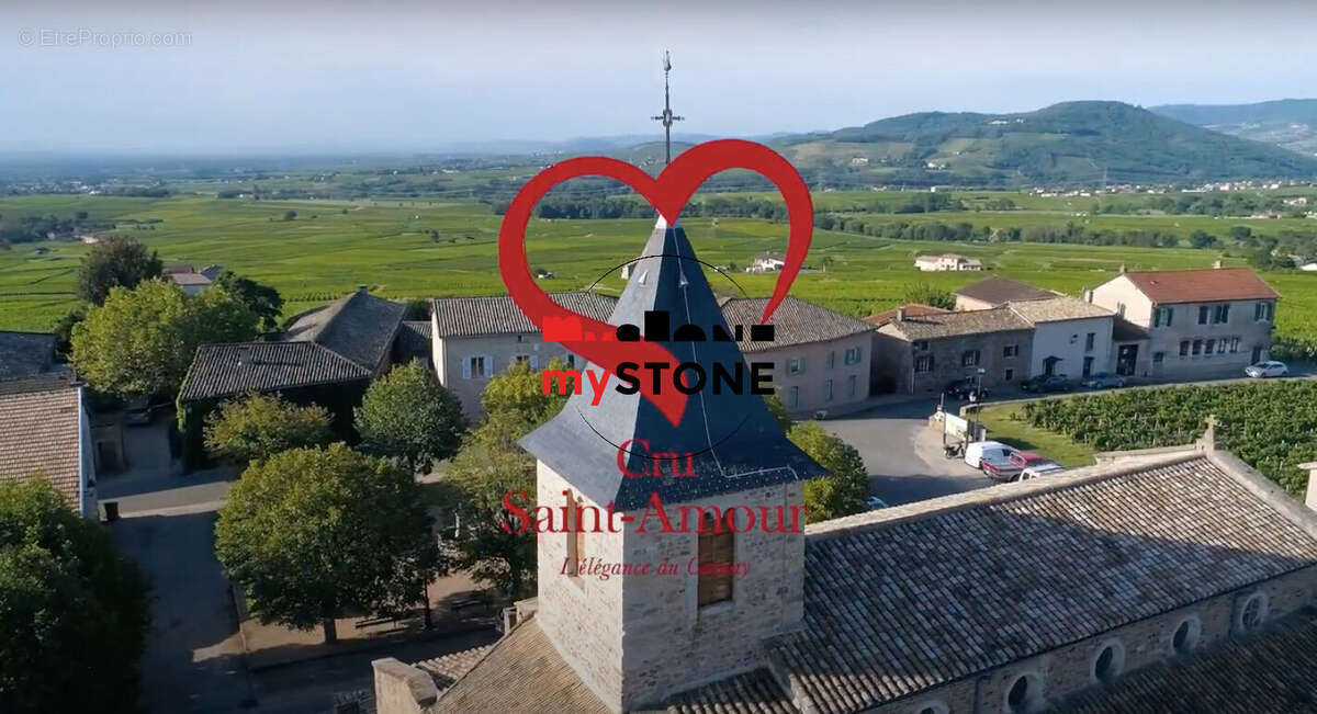 Terrain à SAINT-AMOUR-BELLEVUE