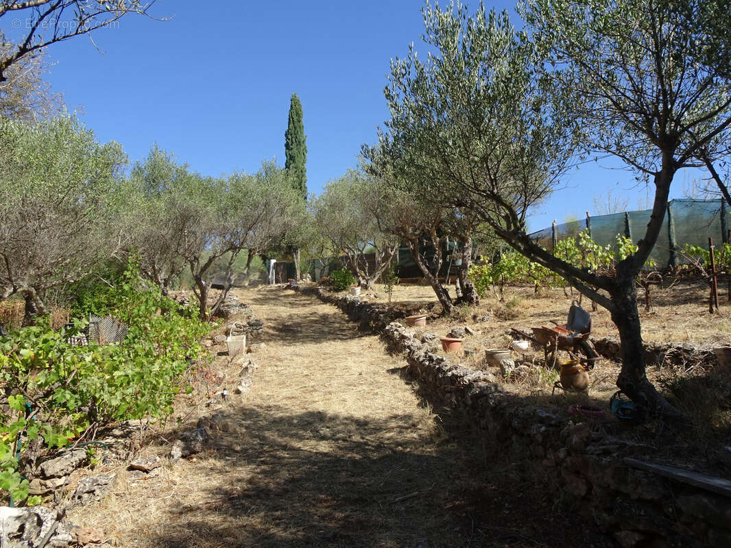 Terrain à PUGET-VILLE