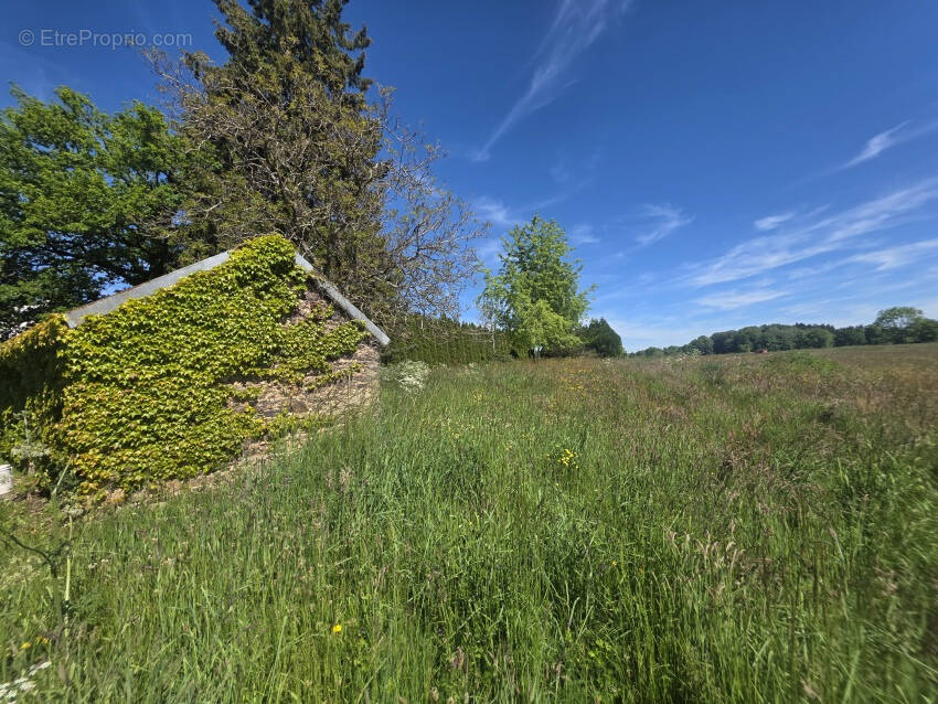 Terrain à LES ANCIZES-COMPS