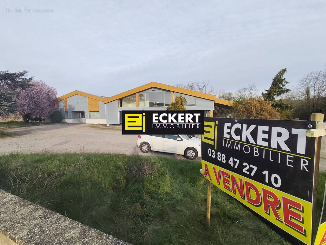 Appartement à ODRATZHEIM