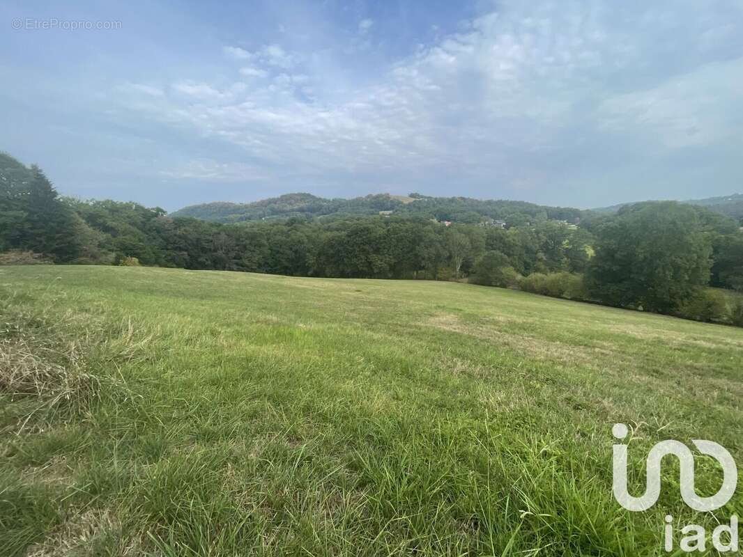 Photo 4 - Terrain à LASSEUBE