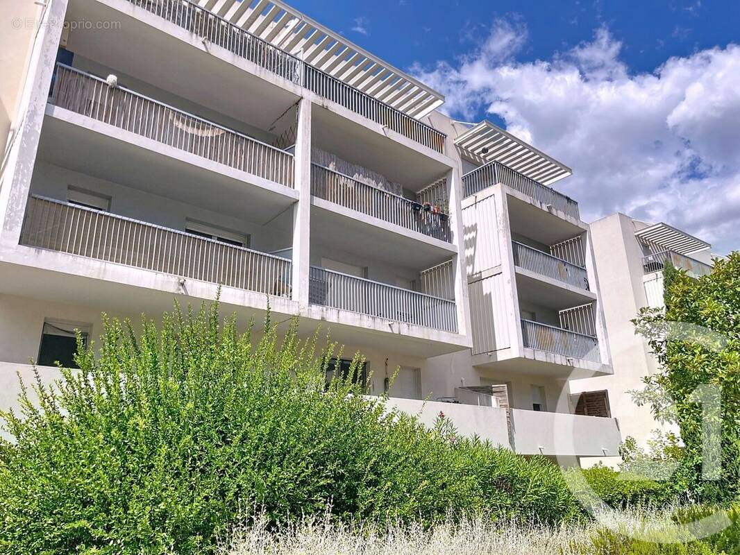 Photo 1 - Appartement à MONTPELLIER