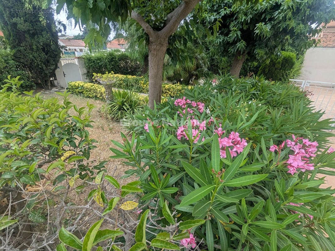 Maison à TOULON