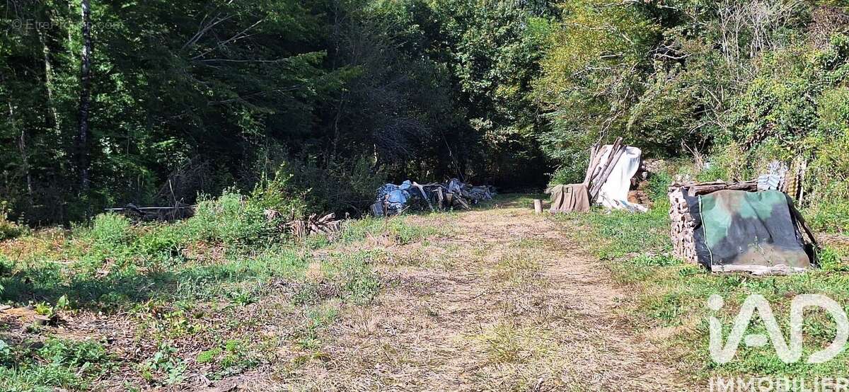 Photo 3 - Terrain à LUANT