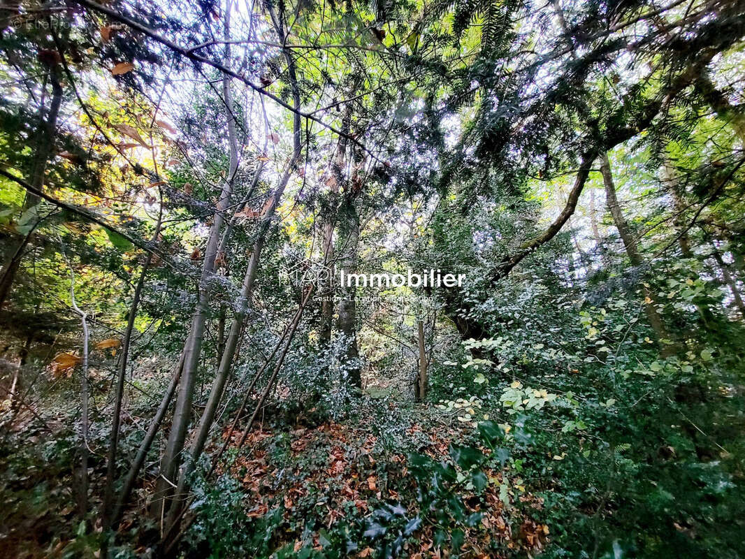 Maison à BRANDERION