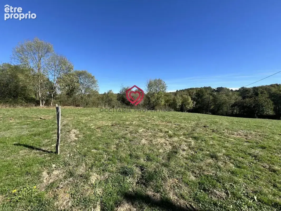 Maison avec galerie d'artiste et 16523m2 terrain - photo 44