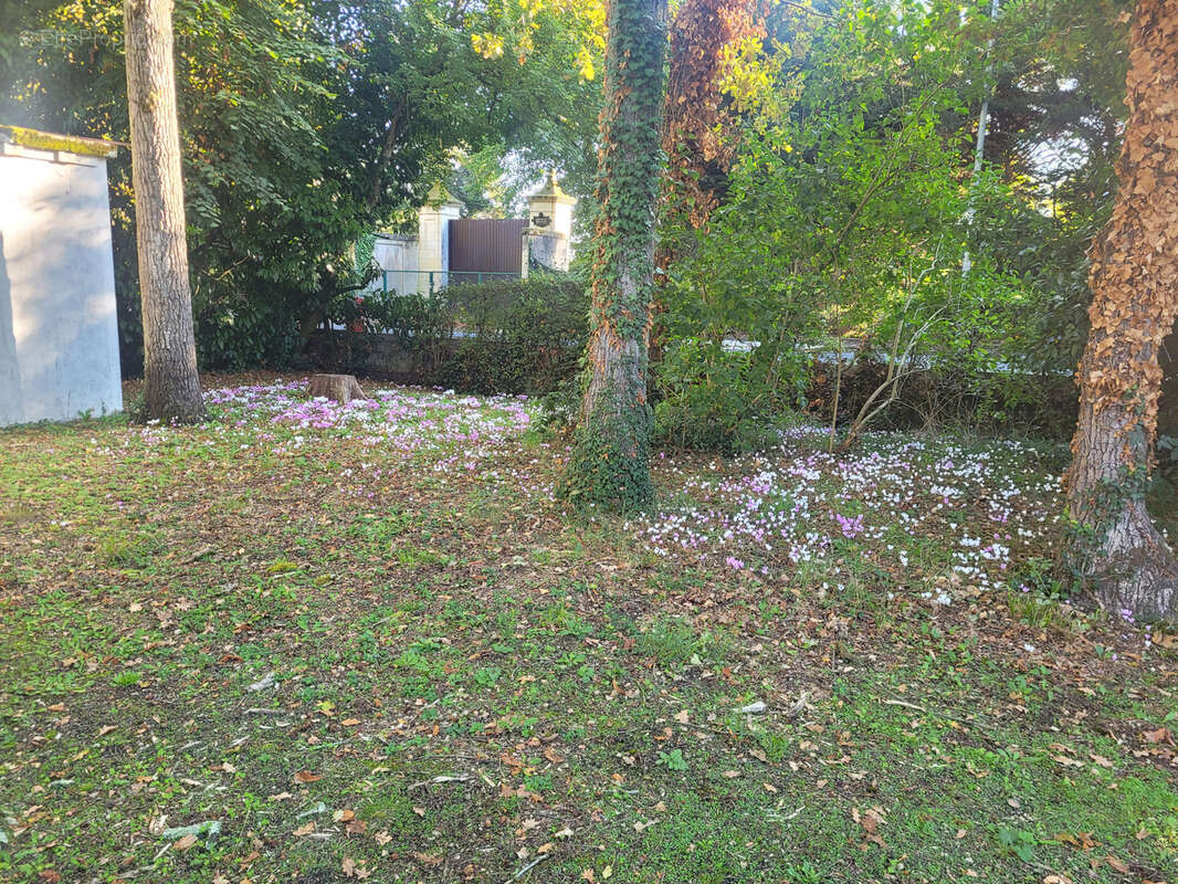 Maison à SAINT-AVERTIN