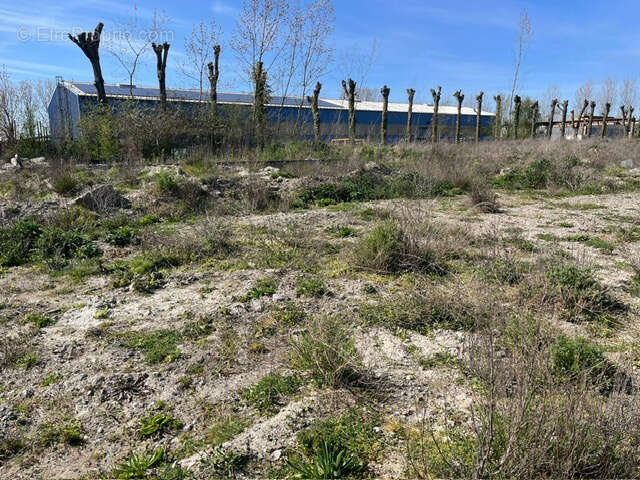 Terrain à DUNKERQUE