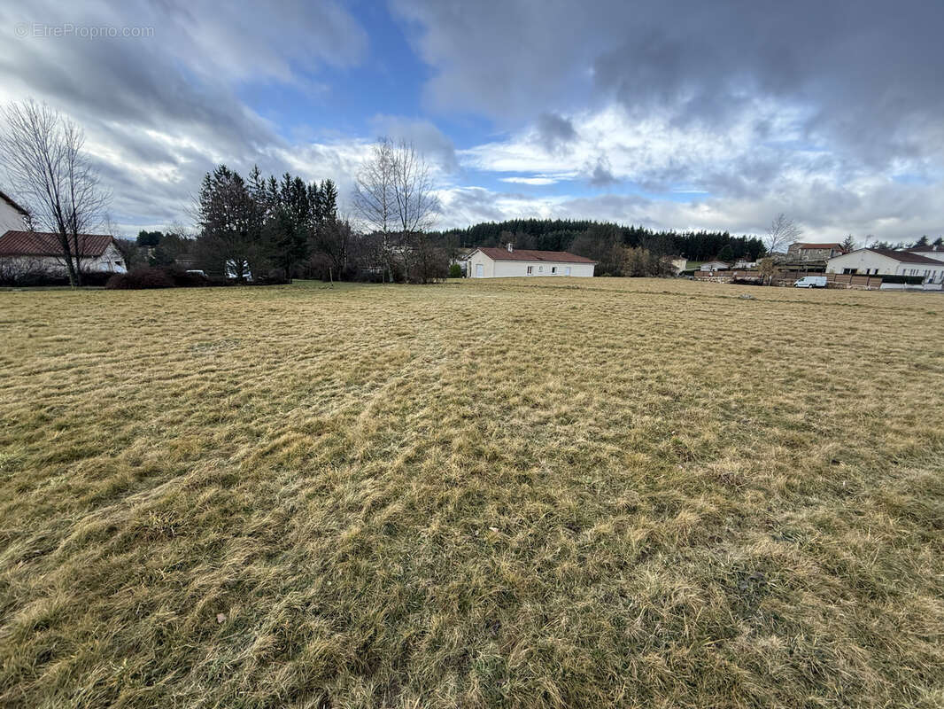 Terrain à SAINT-PAL-DE-MONS