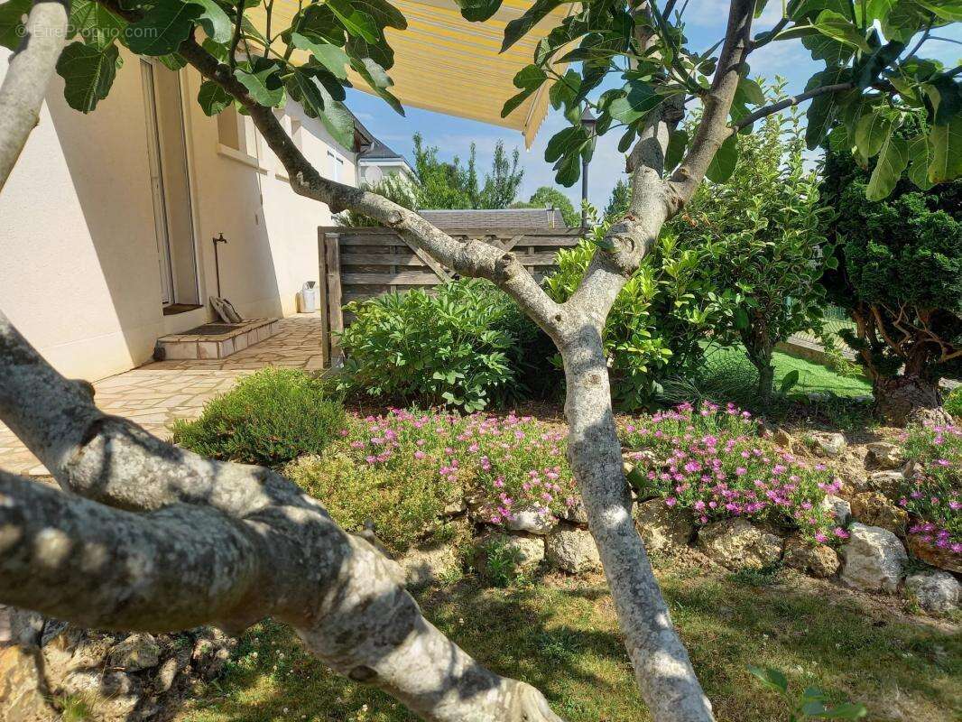 Maison à LA MEMBROLLE-SUR-CHOISILLE