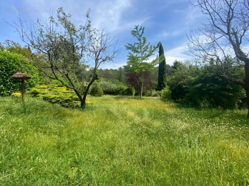 Terrain à VILLECROZE