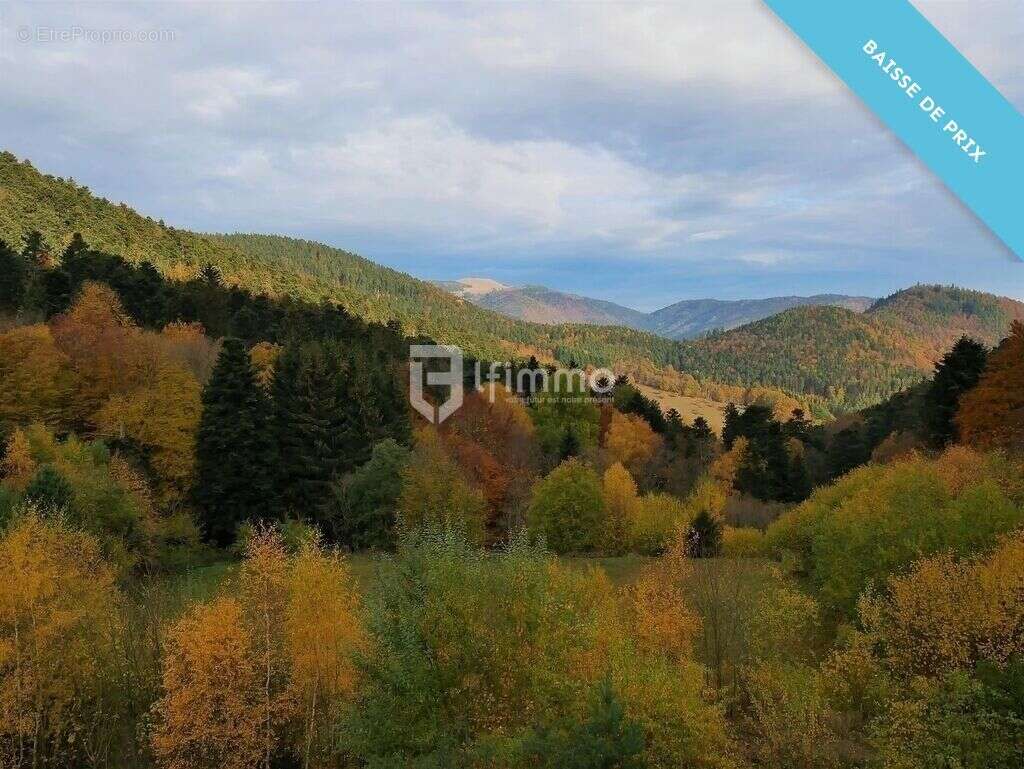 Immeubles 5000 m2 sur 4 ha Murbach - photo 4