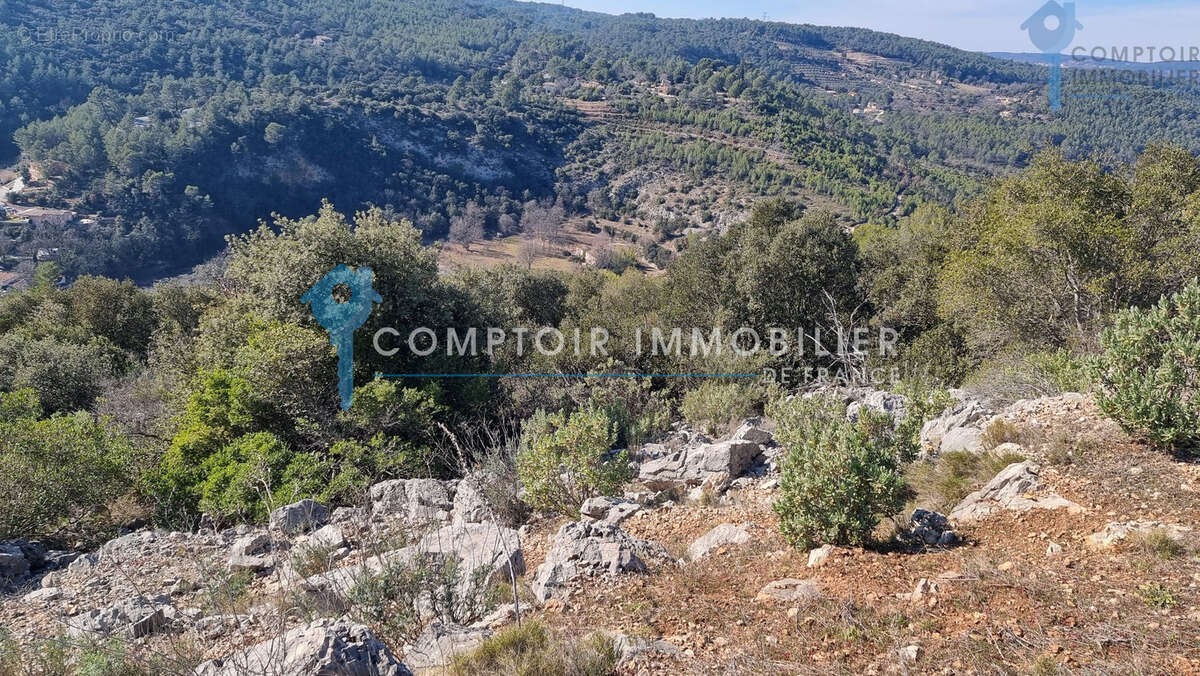 Terrain à TARADEAU