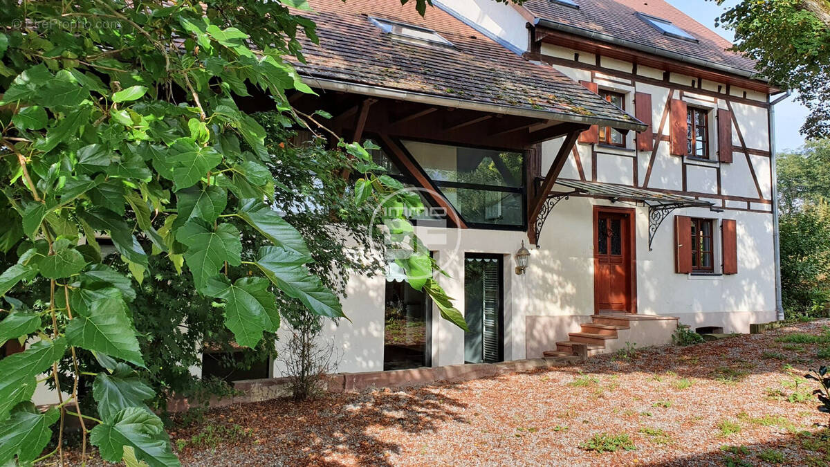 Maison à BARTENHEIM