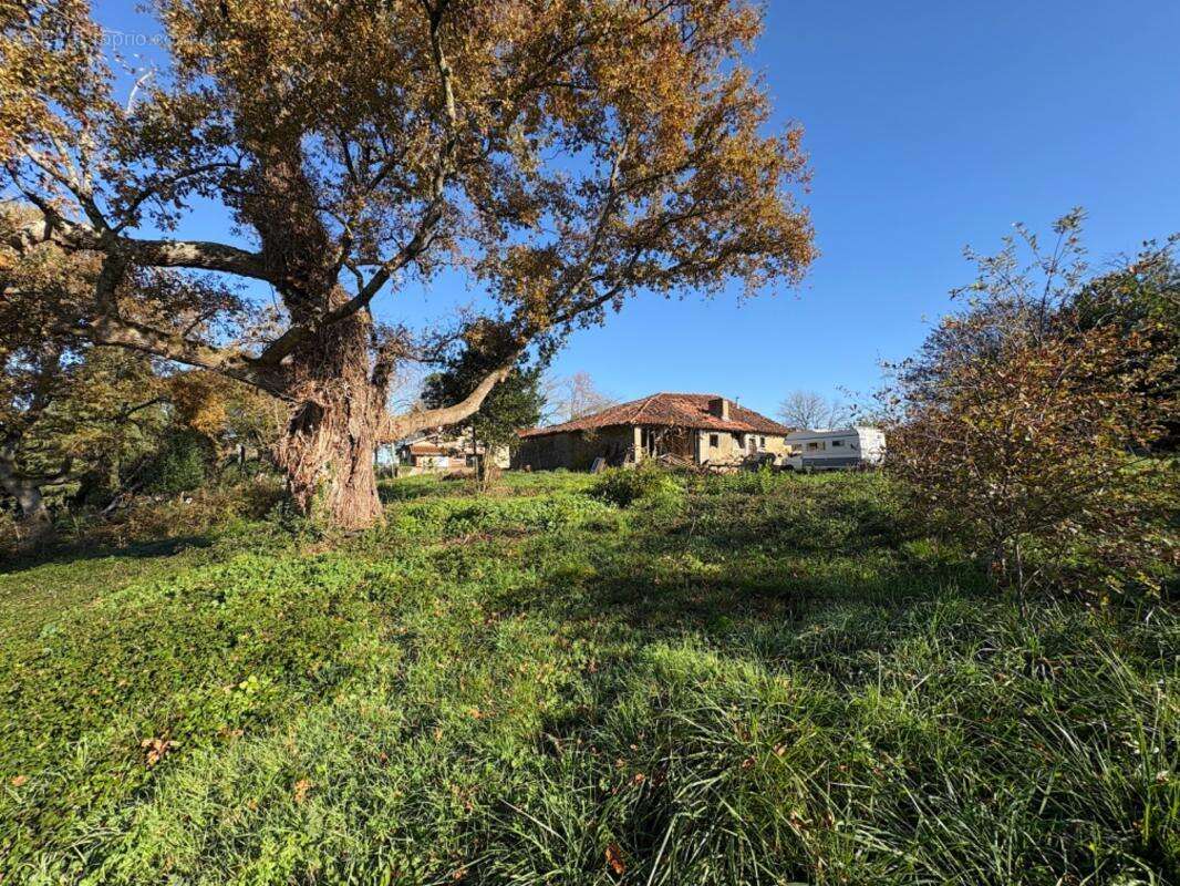 Maison à rénover 170m2 5 pièces AIRE SUR L'ADOUR (40) - photo 2