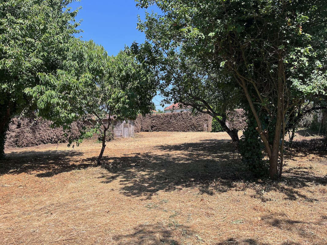 Terrain à SAINT-ETIENNE-DE-BRILLOUET